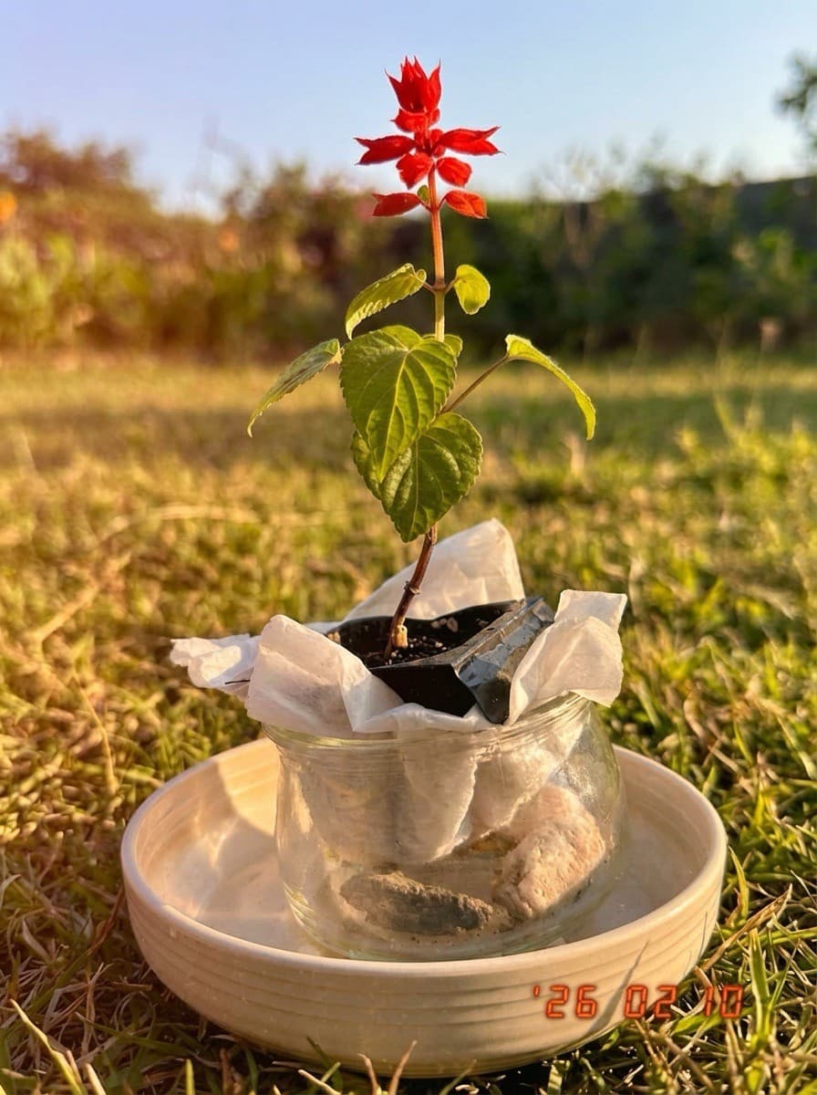 Painting from February 10, 2026