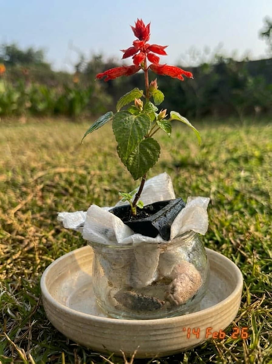 Painting from February 14, 2026