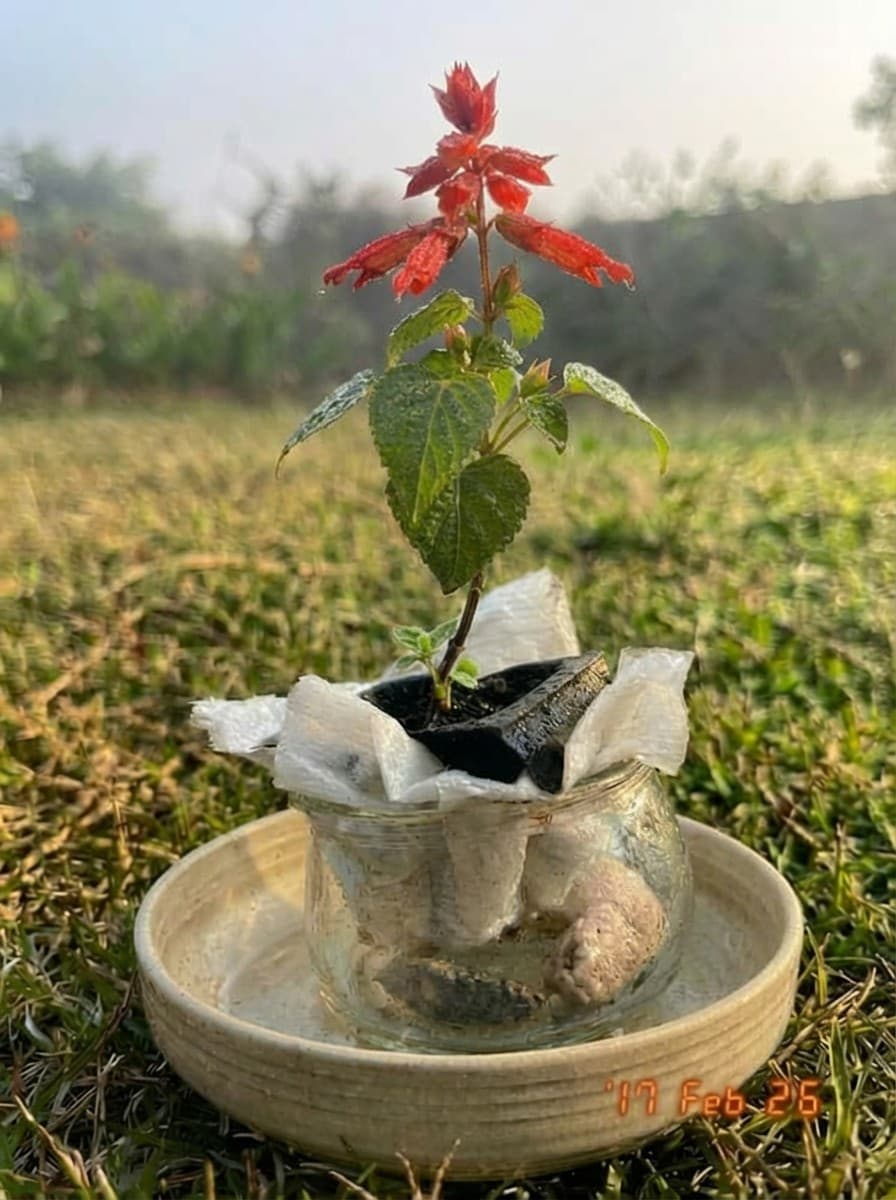 Painting from February 17, 2026