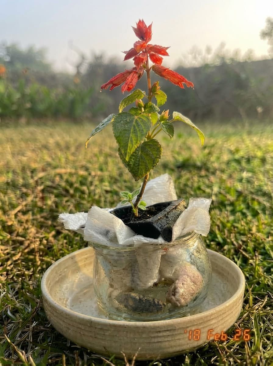 Painting from February 18, 2026