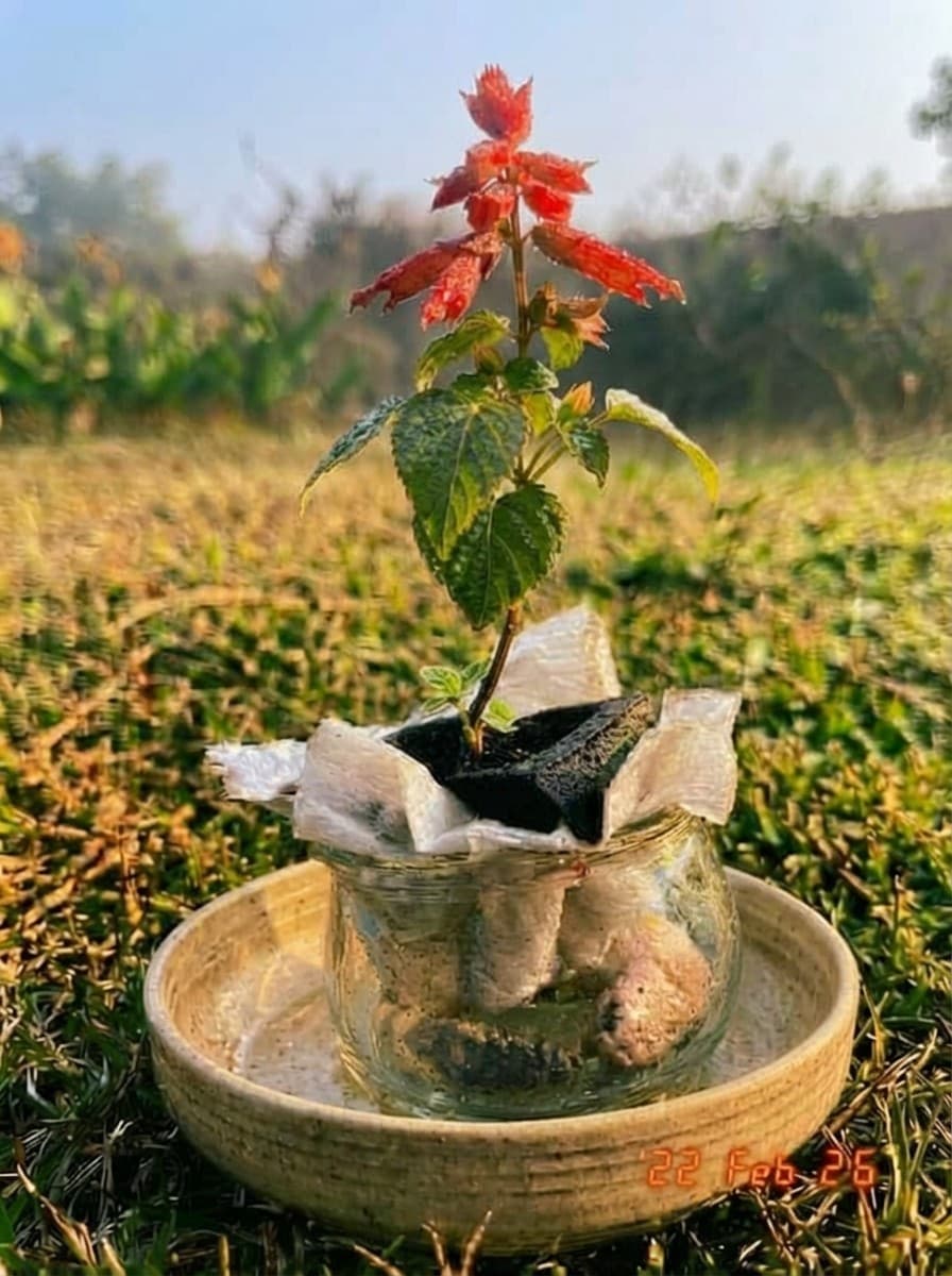 Painting from February 22, 2026