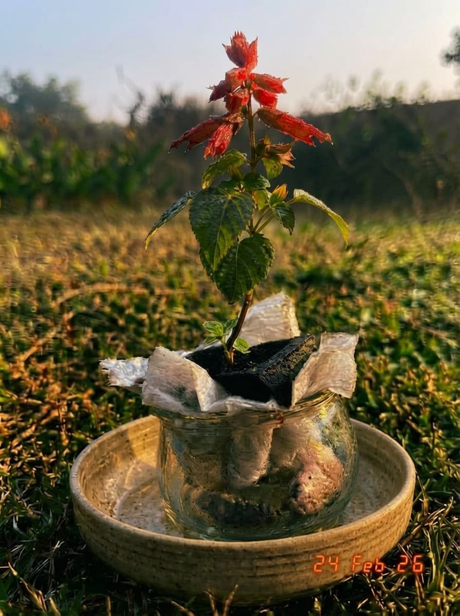 Painting from February 24, 2026