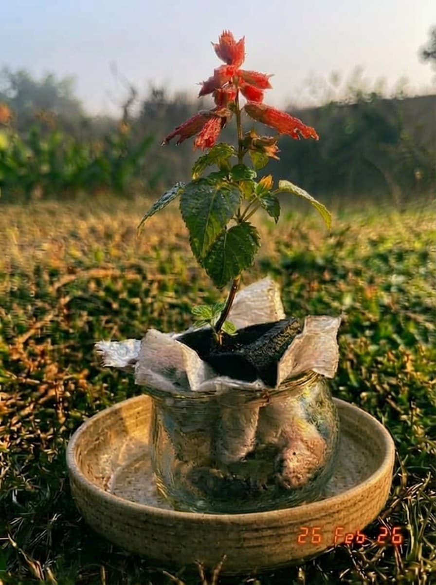 Painting from February 26, 2026