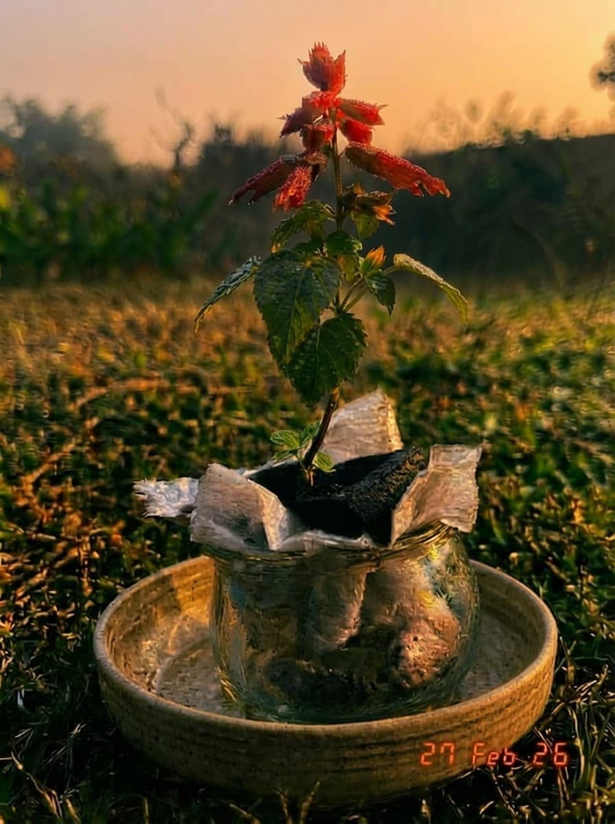 Painting from February 27, 2026