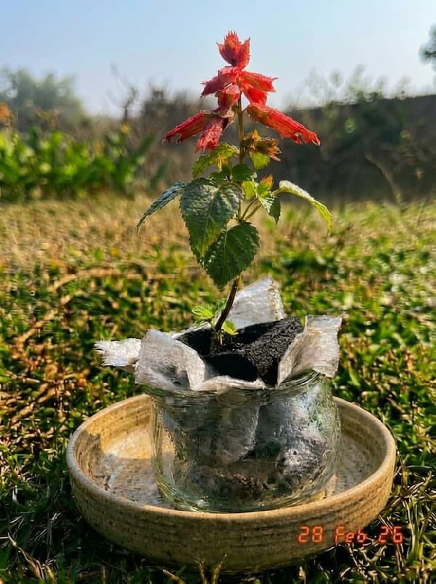 Painting from February 28, 2026