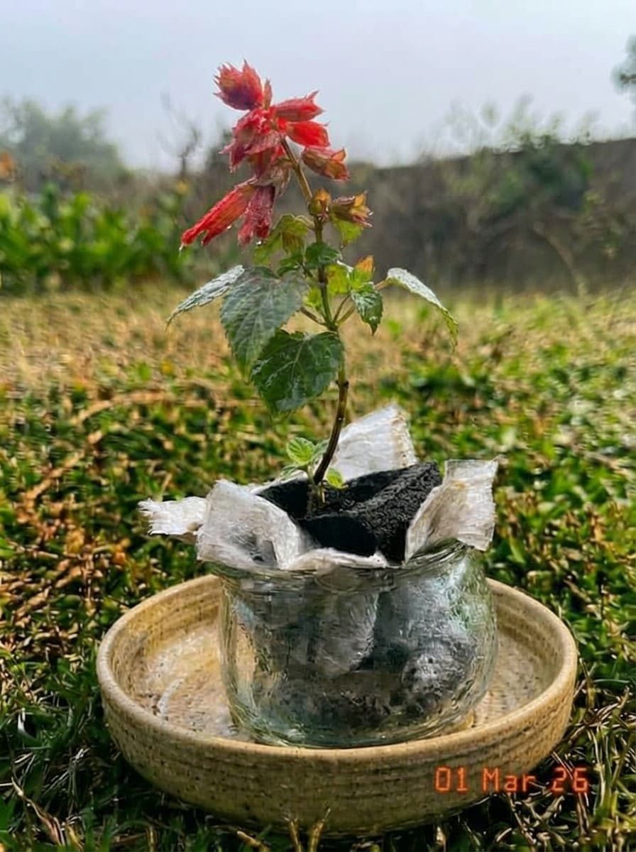 Painting from March 1, 2026