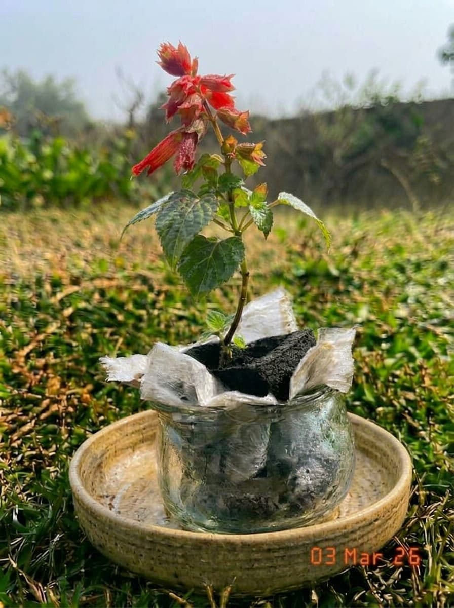 Painting from March 3, 2026