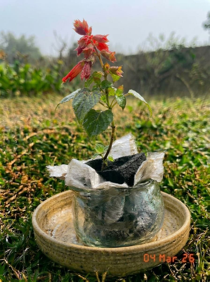 Painting from March 4, 2026