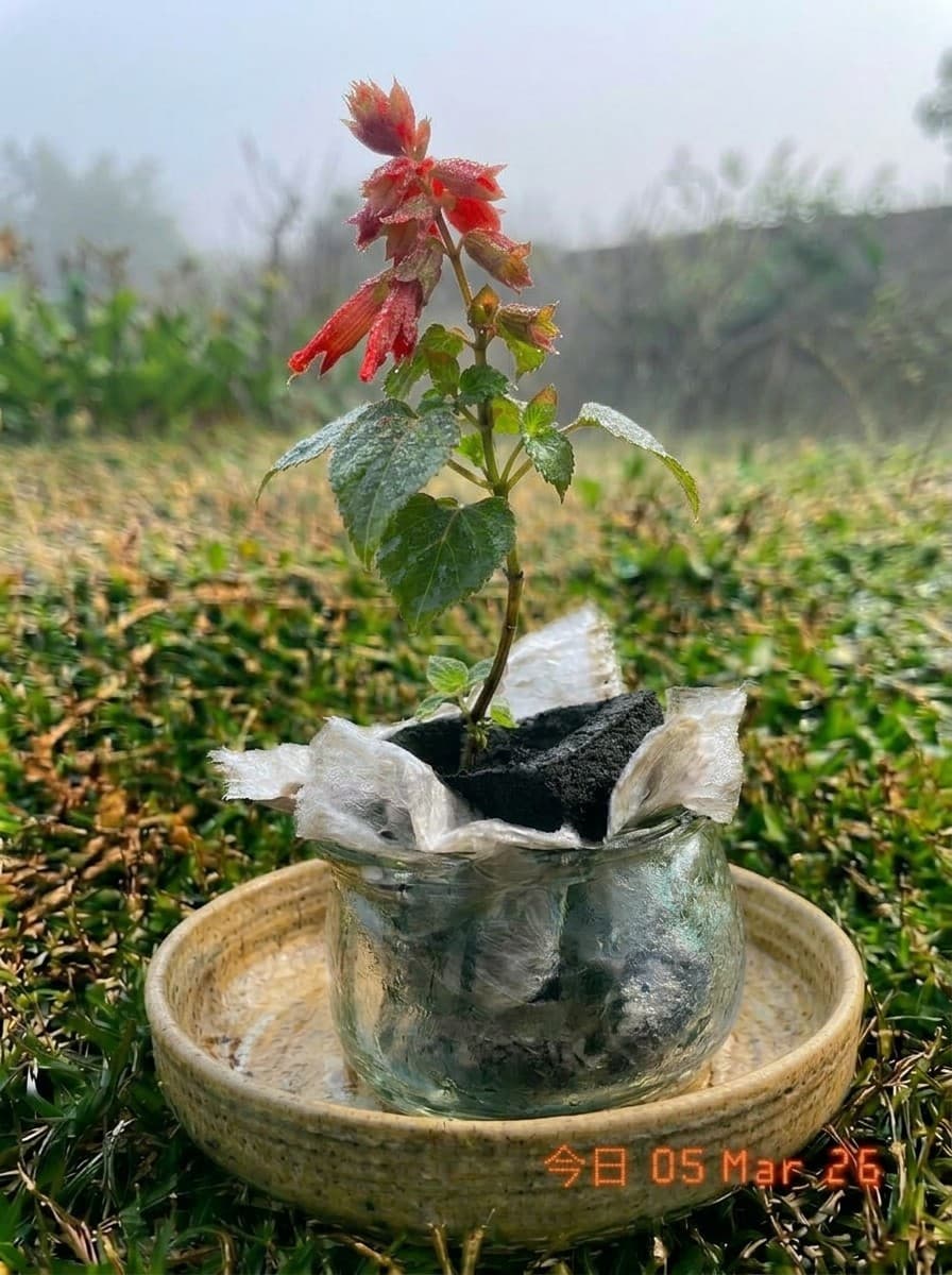 Painting from March 5, 2026