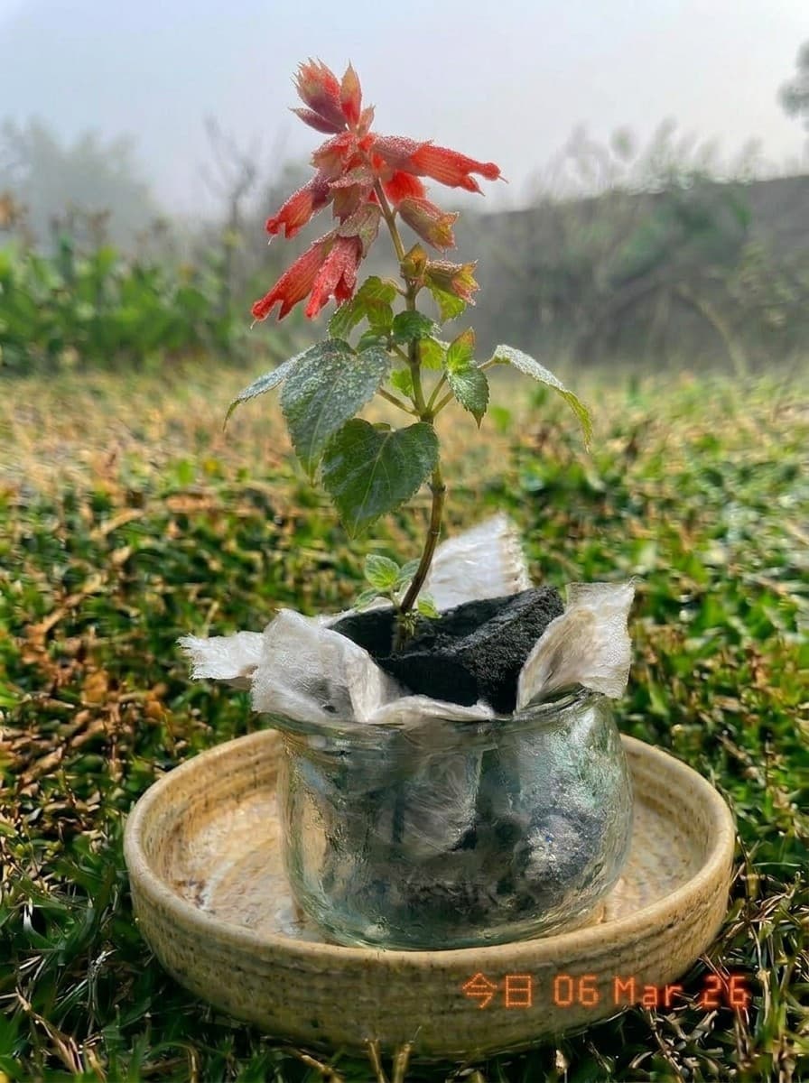 Painting from March 6, 2026