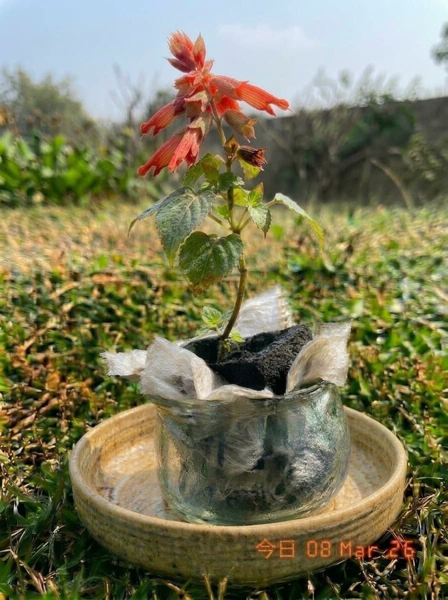 Painting from March 8, 2026