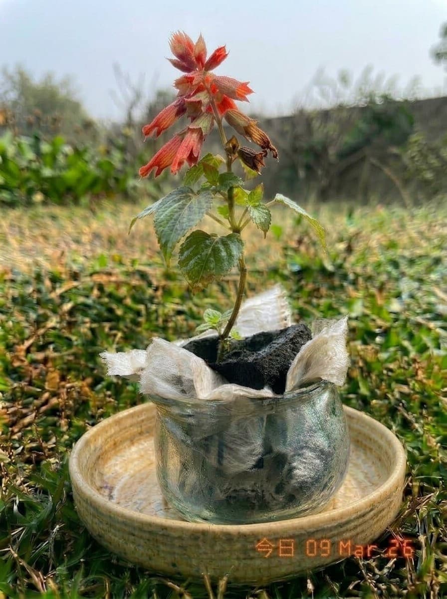 Painting from March 9, 2026