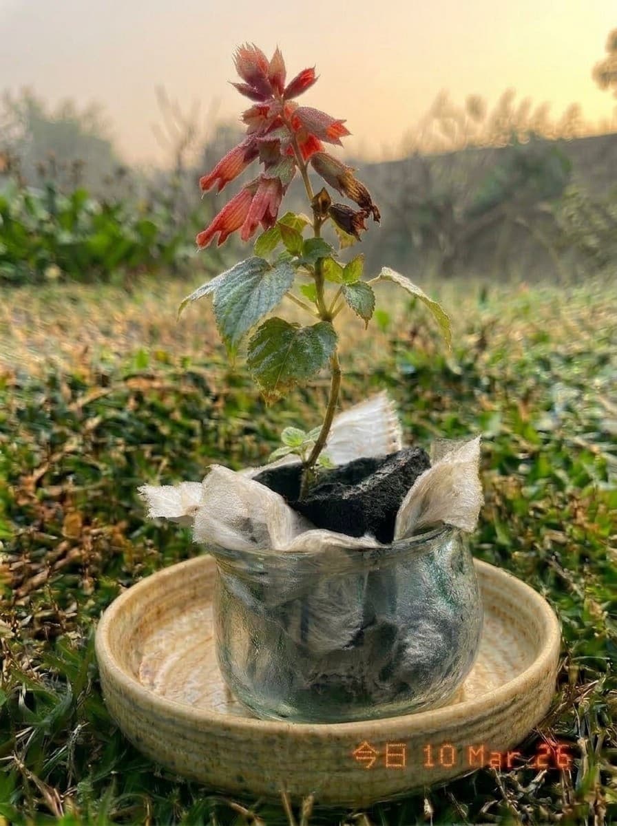 Painting from March 10, 2026