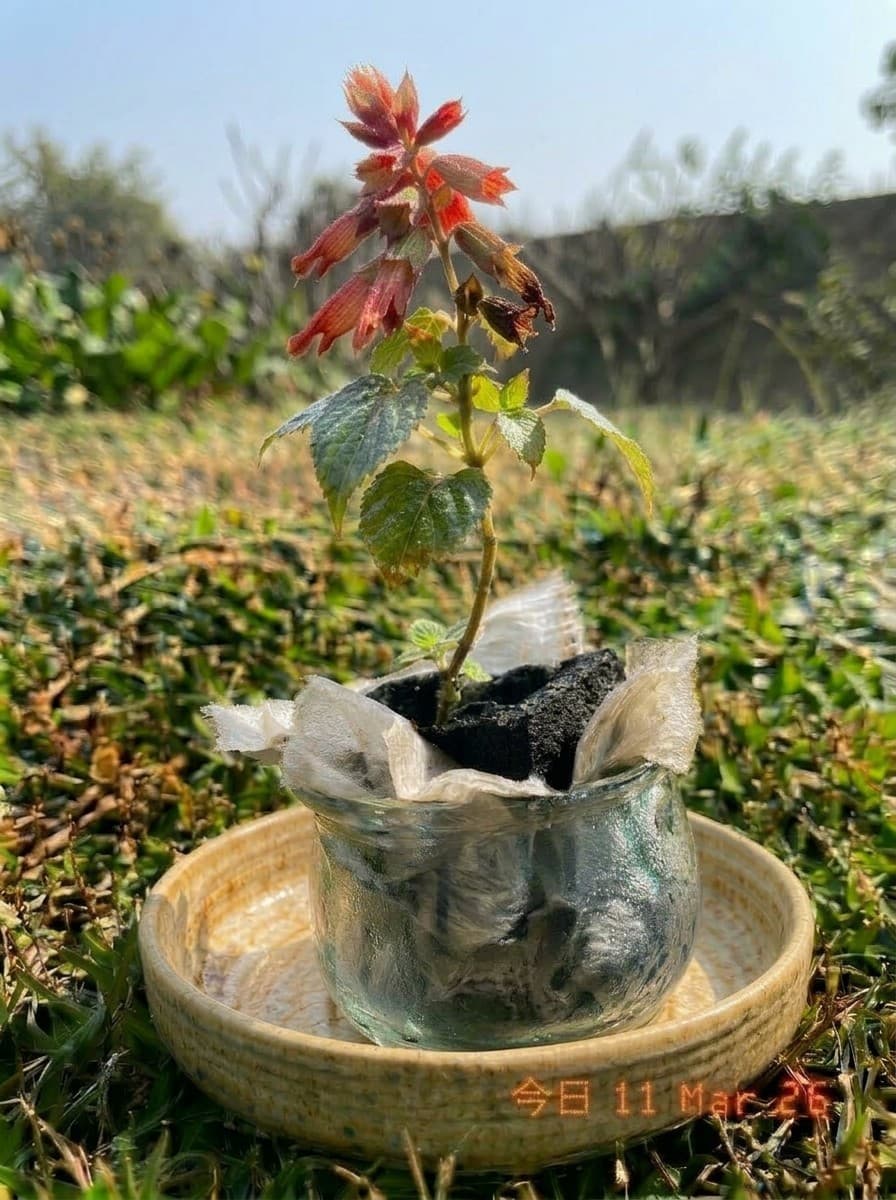 Painting from March 11, 2026