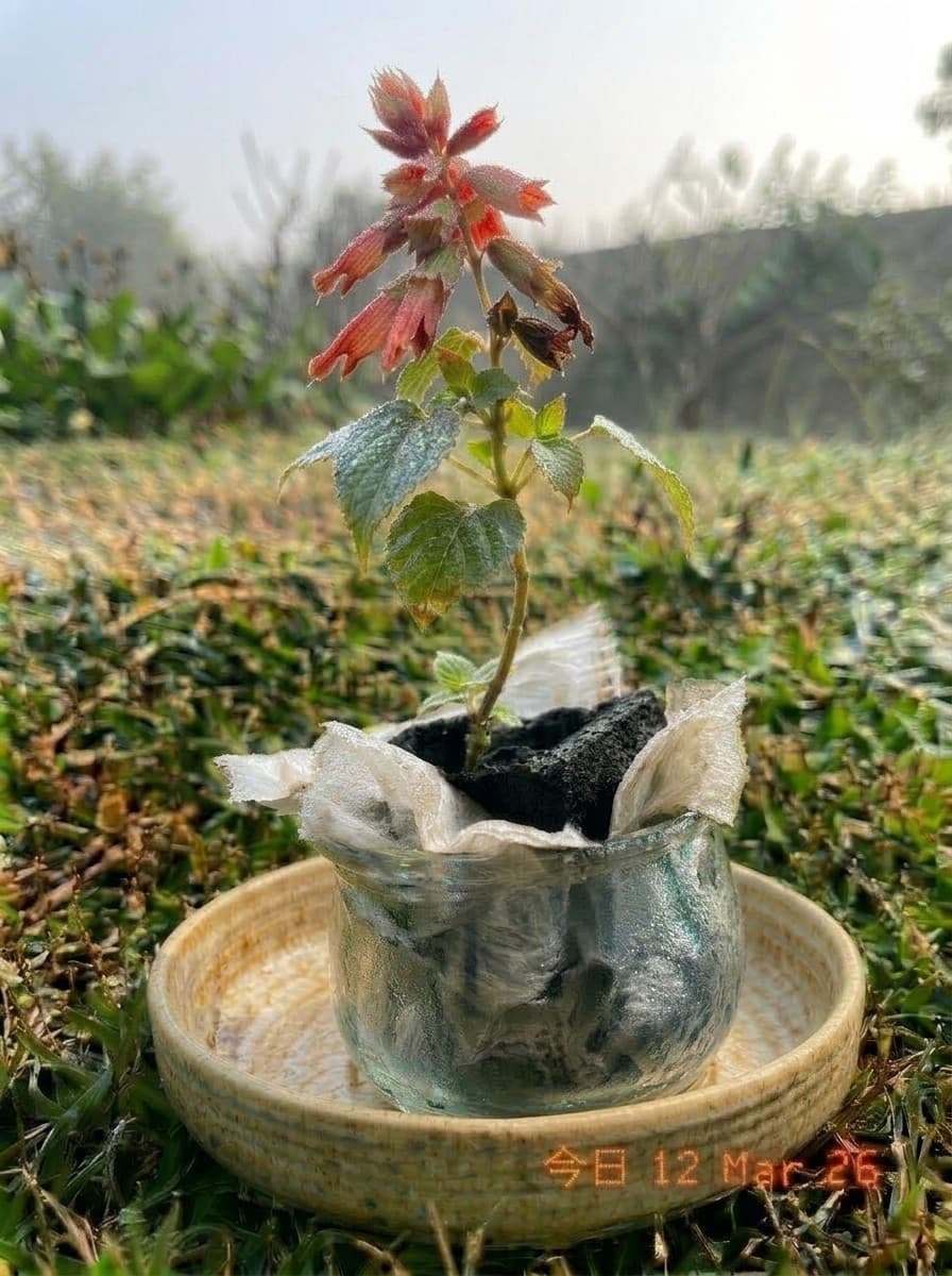 Painting from March 12, 2026