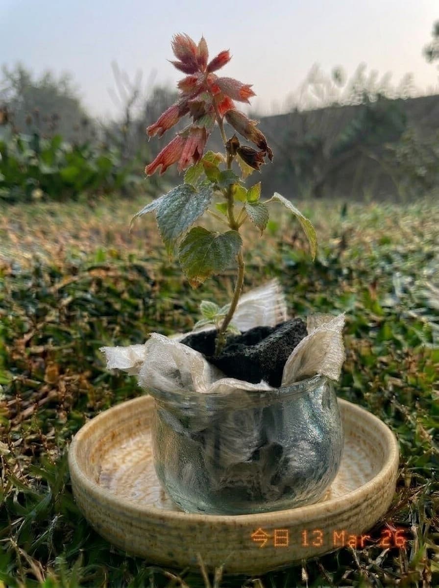 Painting from March 13, 2026