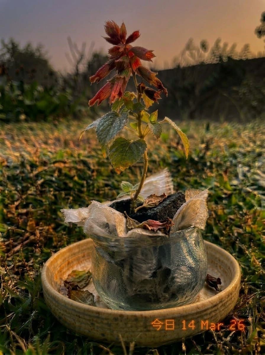 Painting from March 14, 2026