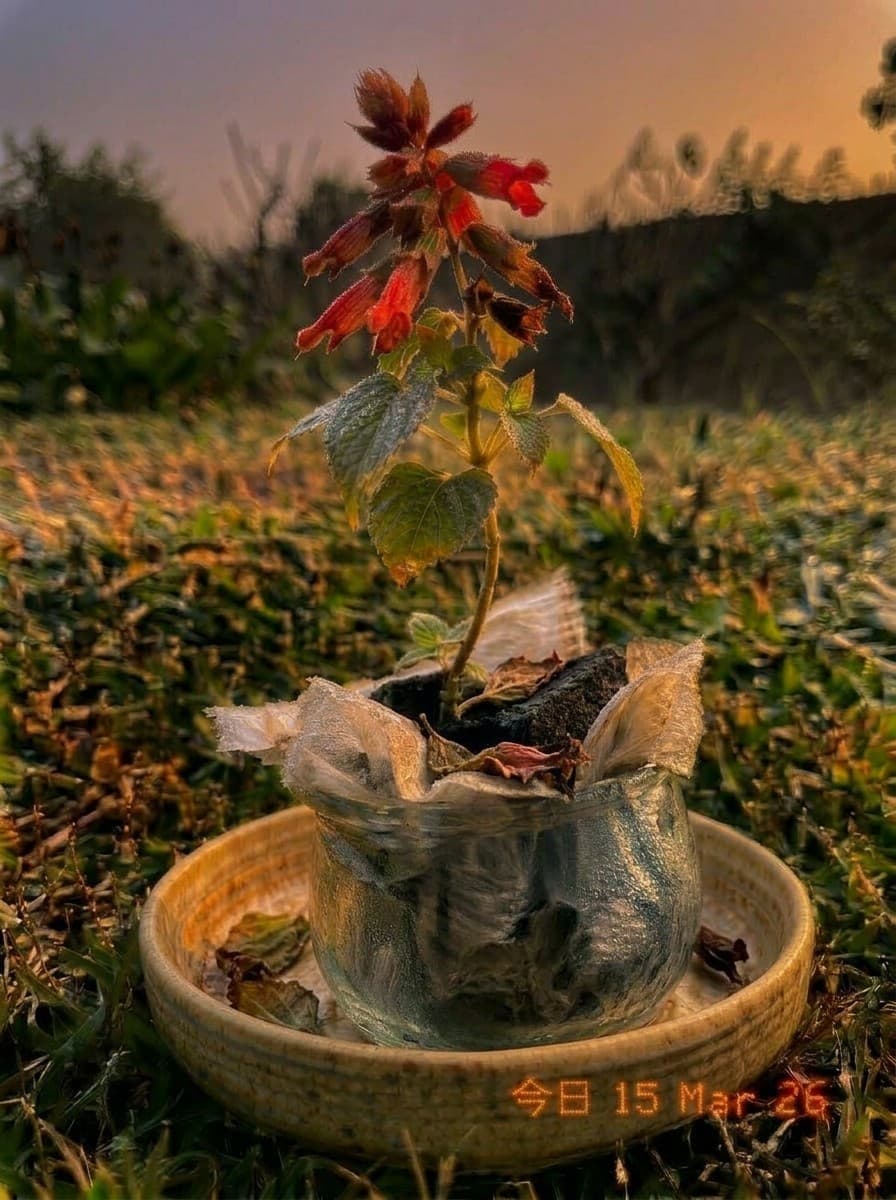 Painting from March 15, 2026