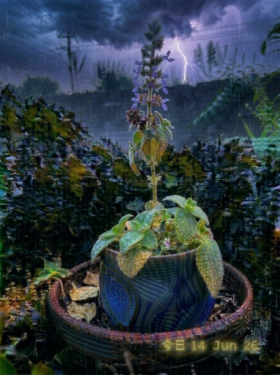 Painting from June 14, 2026